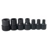 Juego de dados con punta torx hembra cuadro de 1/4" y 3/8, 7 piezas Surtek